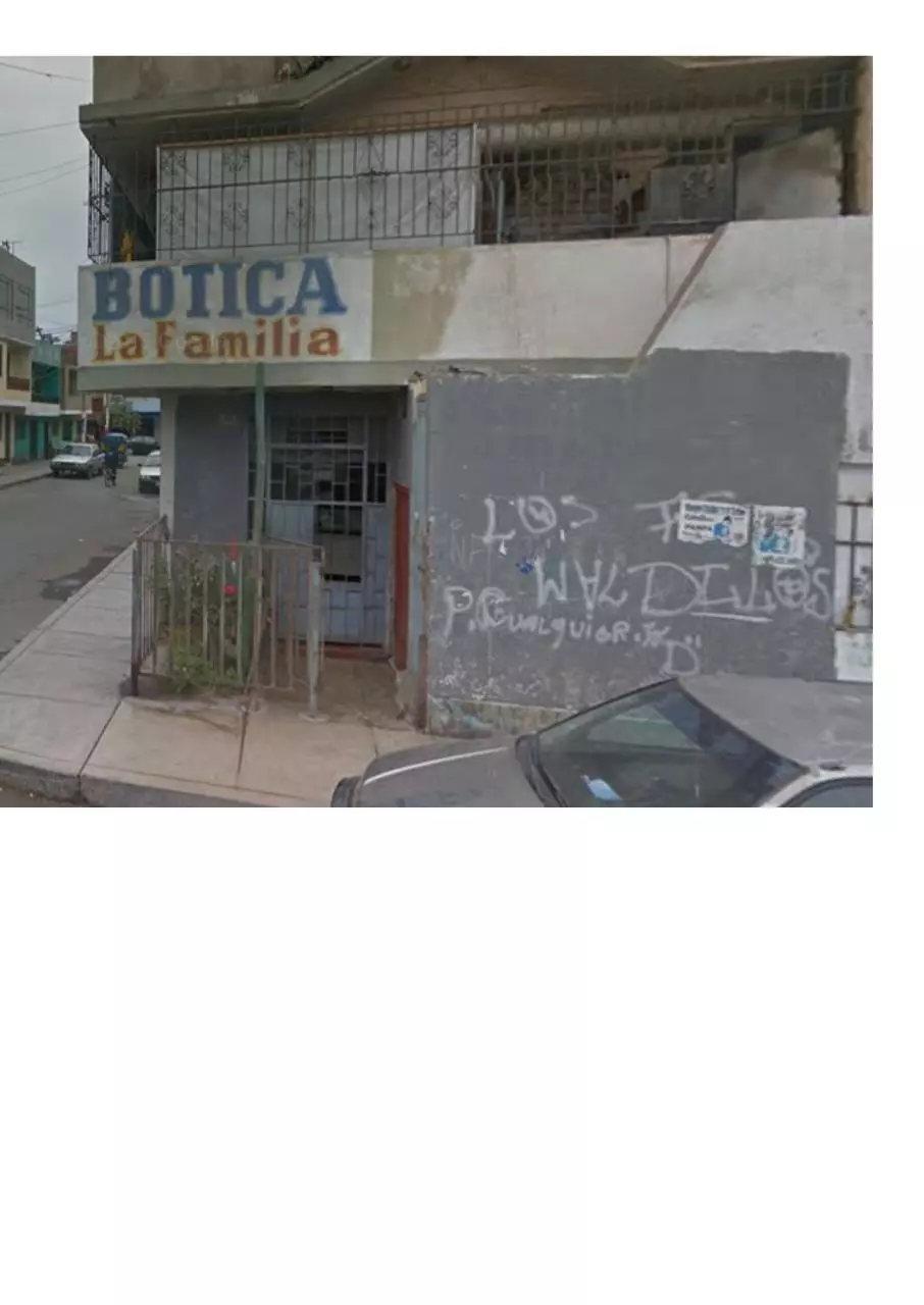 Page 5 of 66, Lima Swimming Club