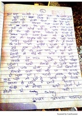 Page 4, story