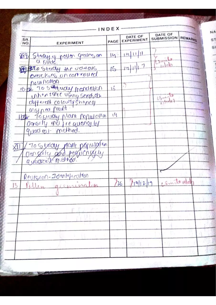 Page 2 of 46, bio