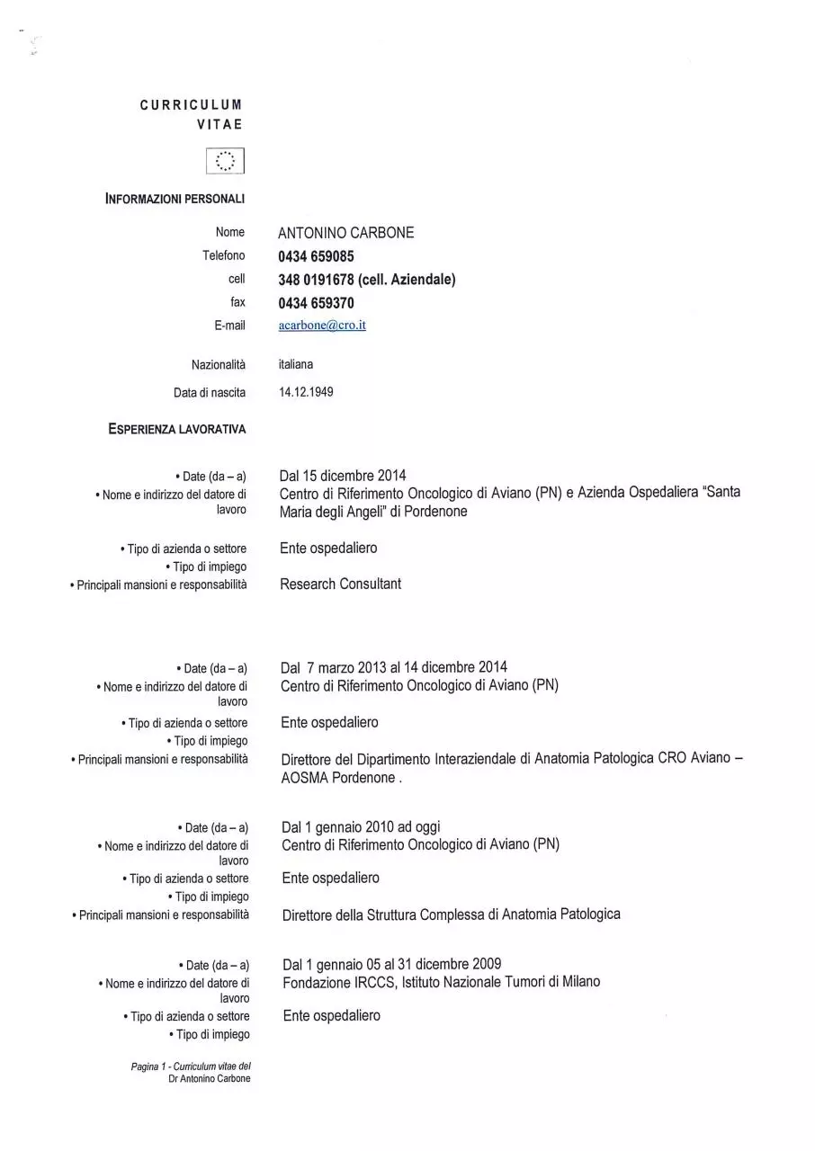 Page 1 of 7, CV CARBONE