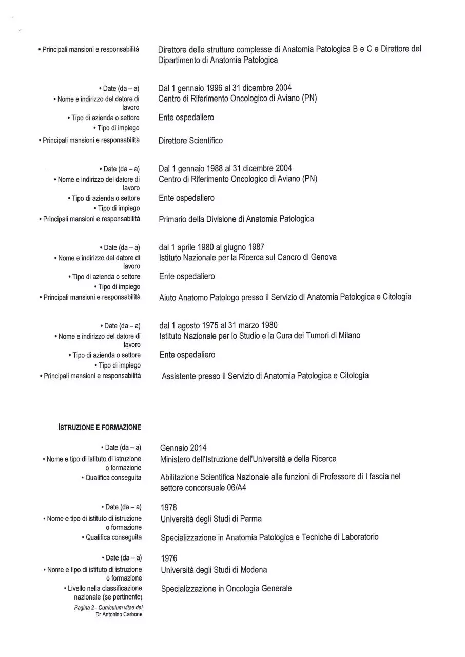Page 2 of 7, CV CARBONE