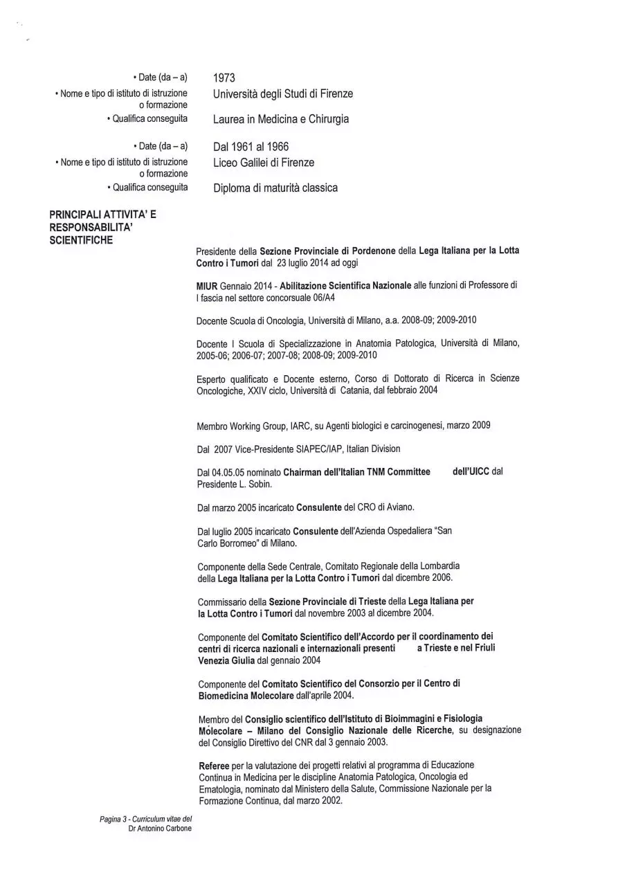 Page 3 of 7, CV CARBONE