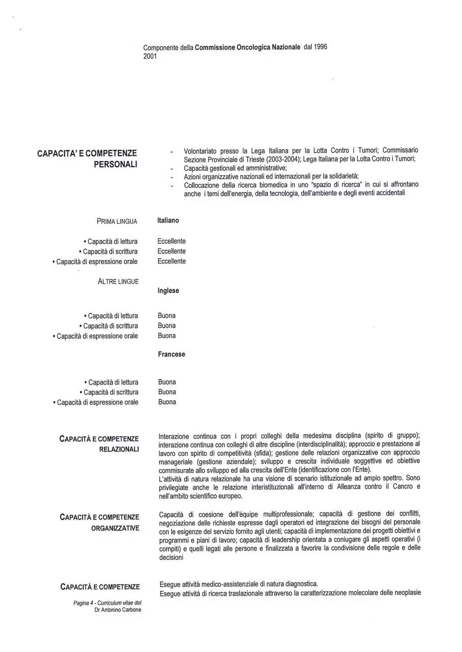 Page 4 of 7, CV CARBONE