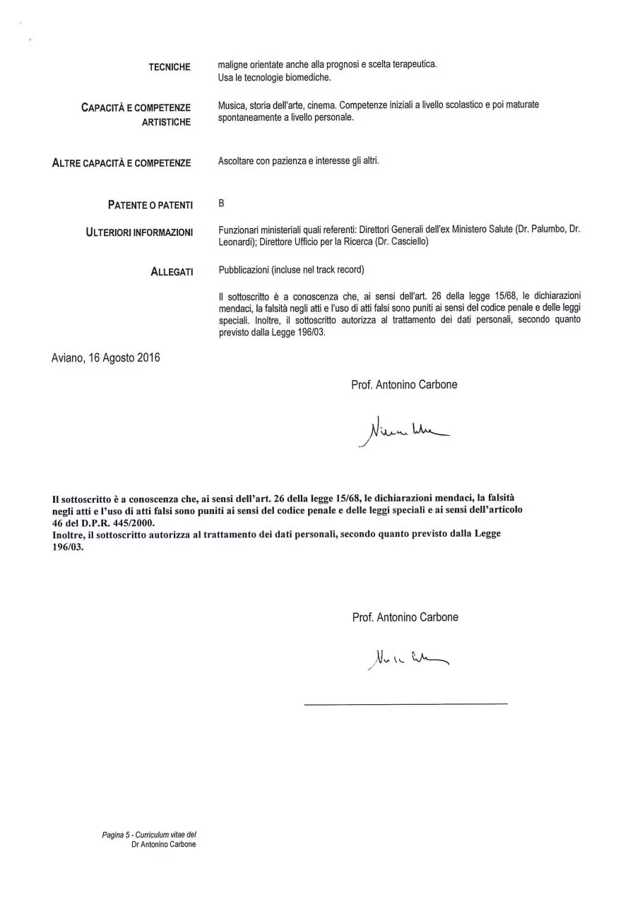 Page 5 of 7, CV CARBONE