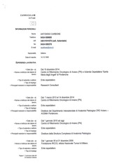 Page 1, CV CARBONE