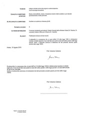 Page 5, CV CARBONE