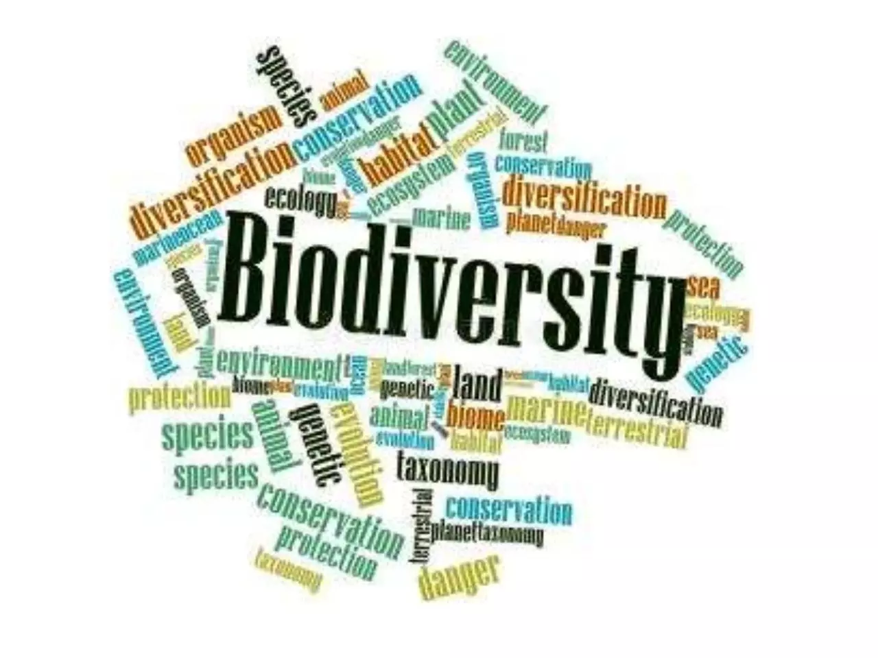 Page 1 of 52, Biodiversity Values 4.12.17