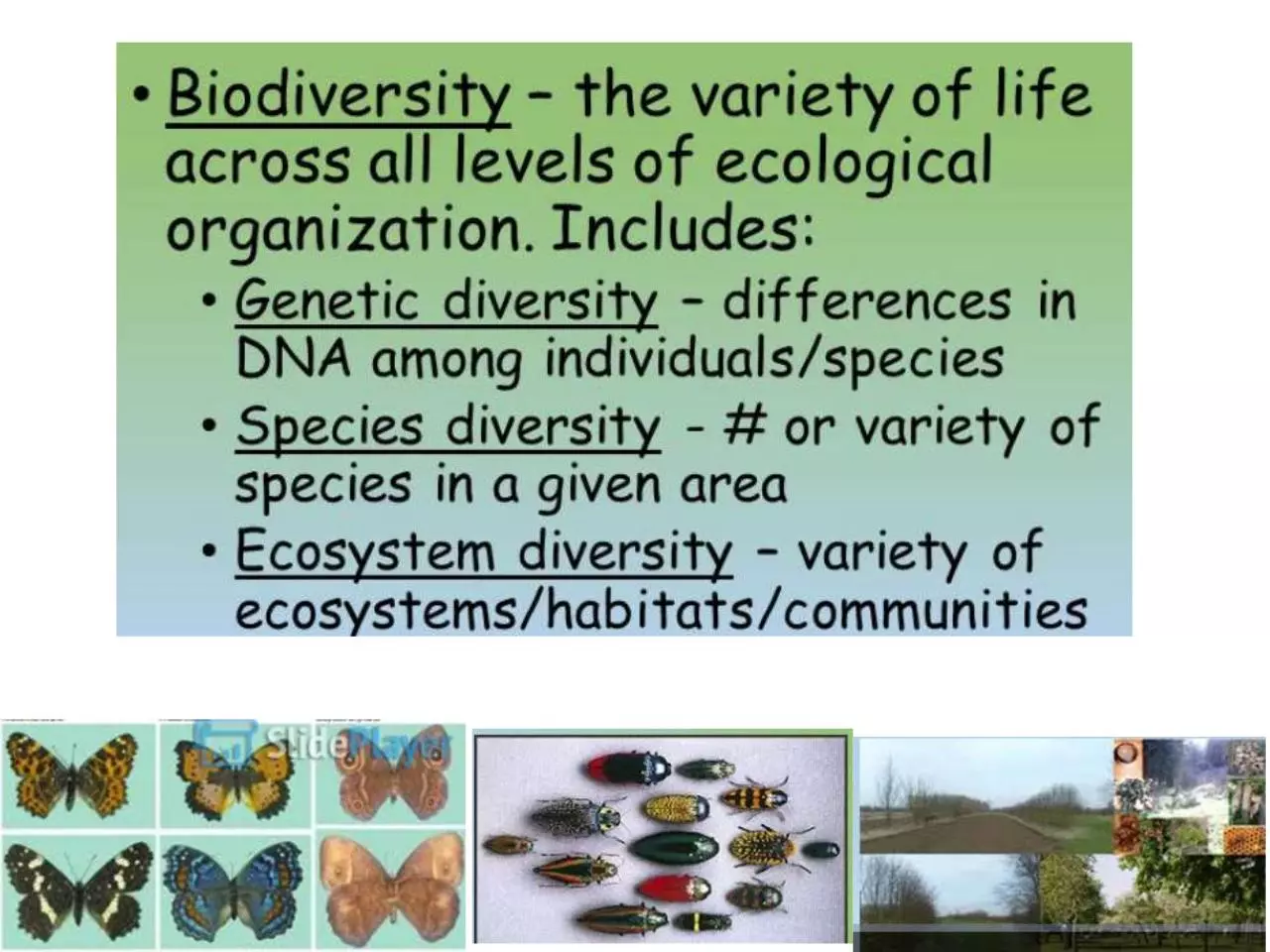 Page 3 of 52, Biodiversity Values 4.12.17