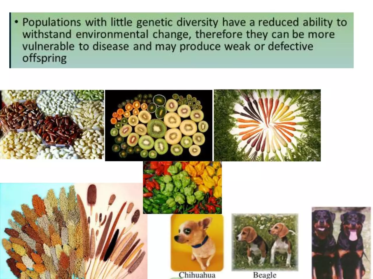 Page 5 of 52, Biodiversity Values 4.12.17