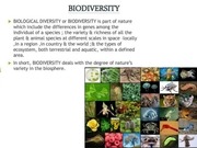 Page 2, Biodiversity Values 4.12.17