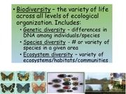Page 3, Biodiversity Values 4.12.17