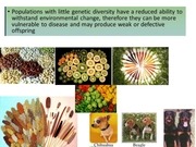 Page 5, Biodiversity Values 4.12.17