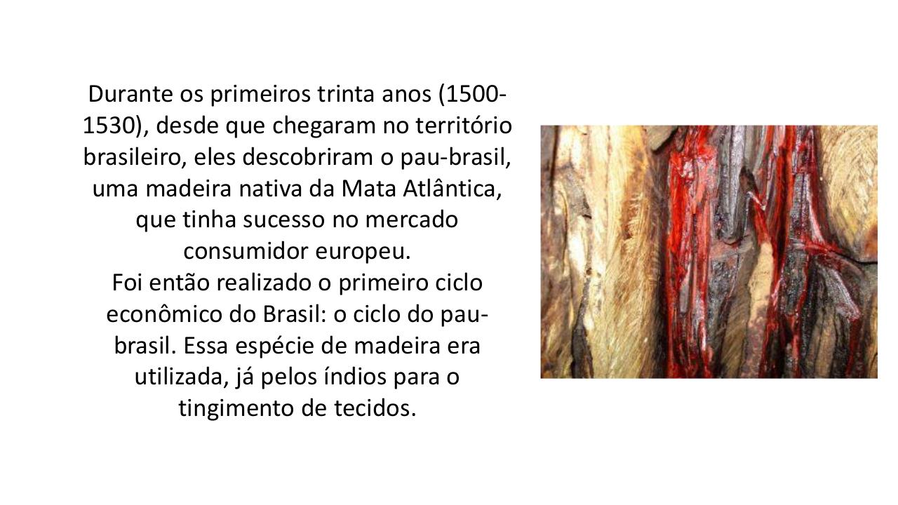 aula 3 brasil colÃ´nia.pdf - page 4/32