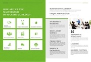Page 3, Official Sales Kit18 1 18 725pm this one alvin this is company profile