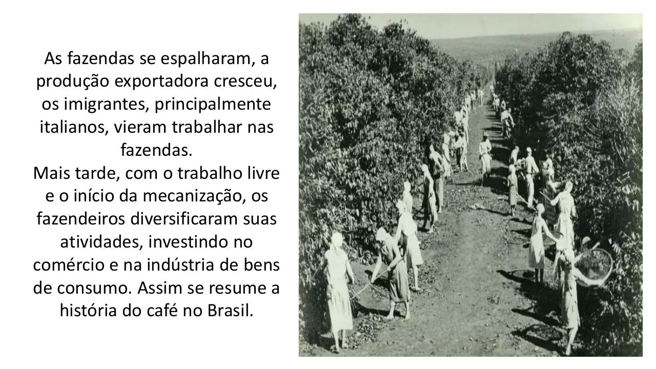 Page 5 of 53, aula 5 repúblicas