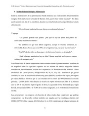 Page 5, Critica Objetivista de una Proyección Postmoderna