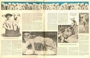 Page 3, 1936 02 15 radio guide