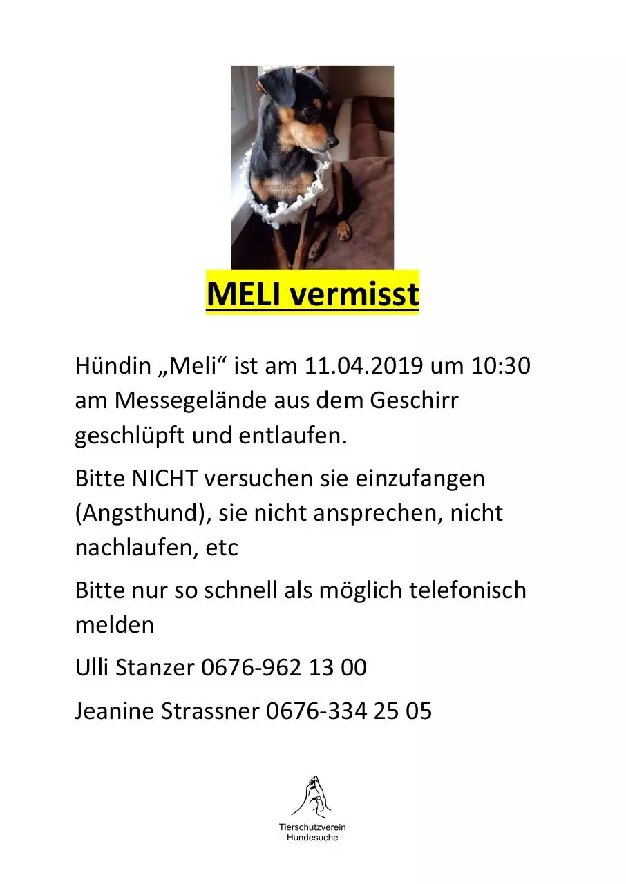 Page 1 of 1, FlyerMeli