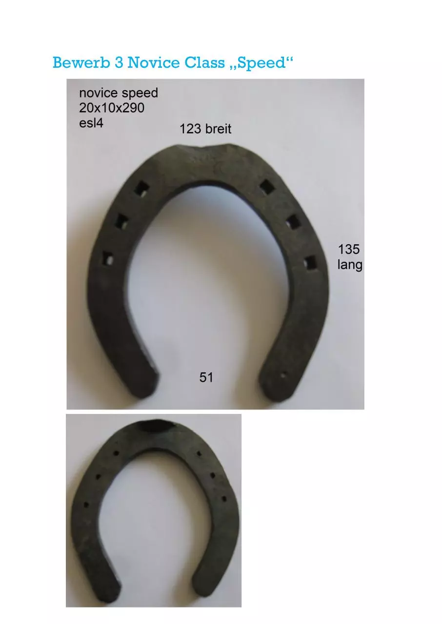 Page 4 of 5, Ausschreibung Mustereisen