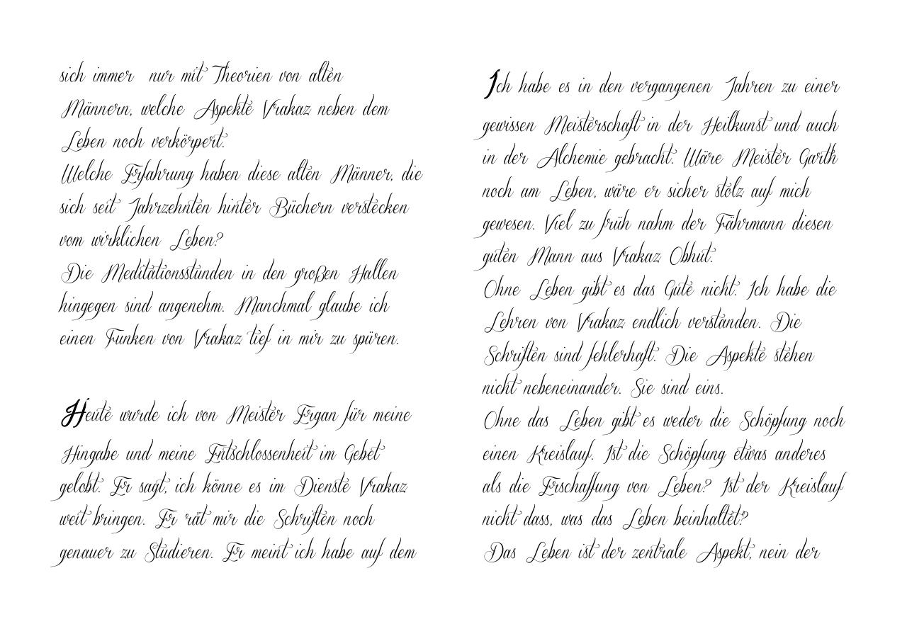 Sigfrieds Tagebuch.pdf - page 2/20