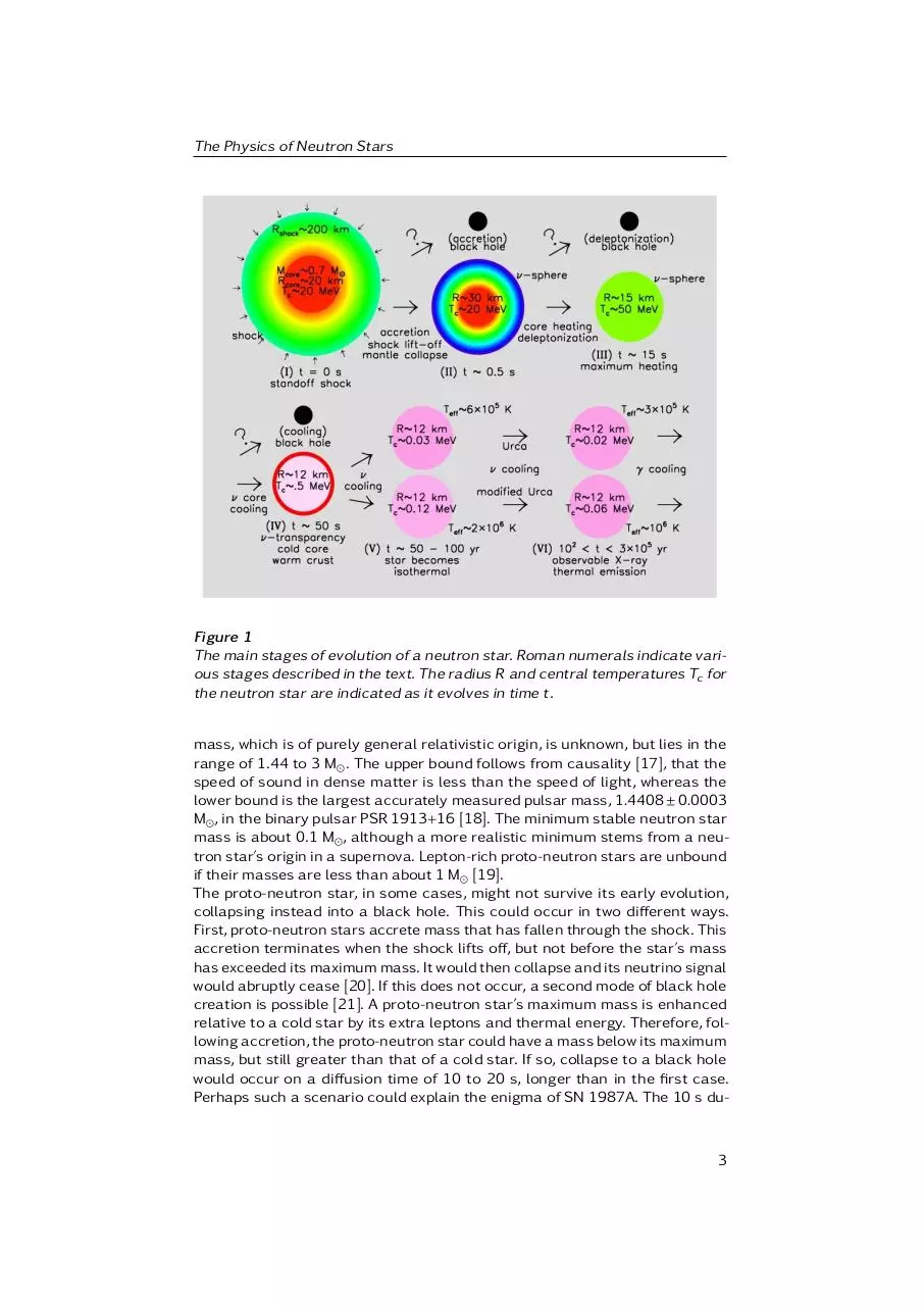 Page 3 of 19, J.M. Lattimer and M. Prakash. The Physics of Neutron Stars