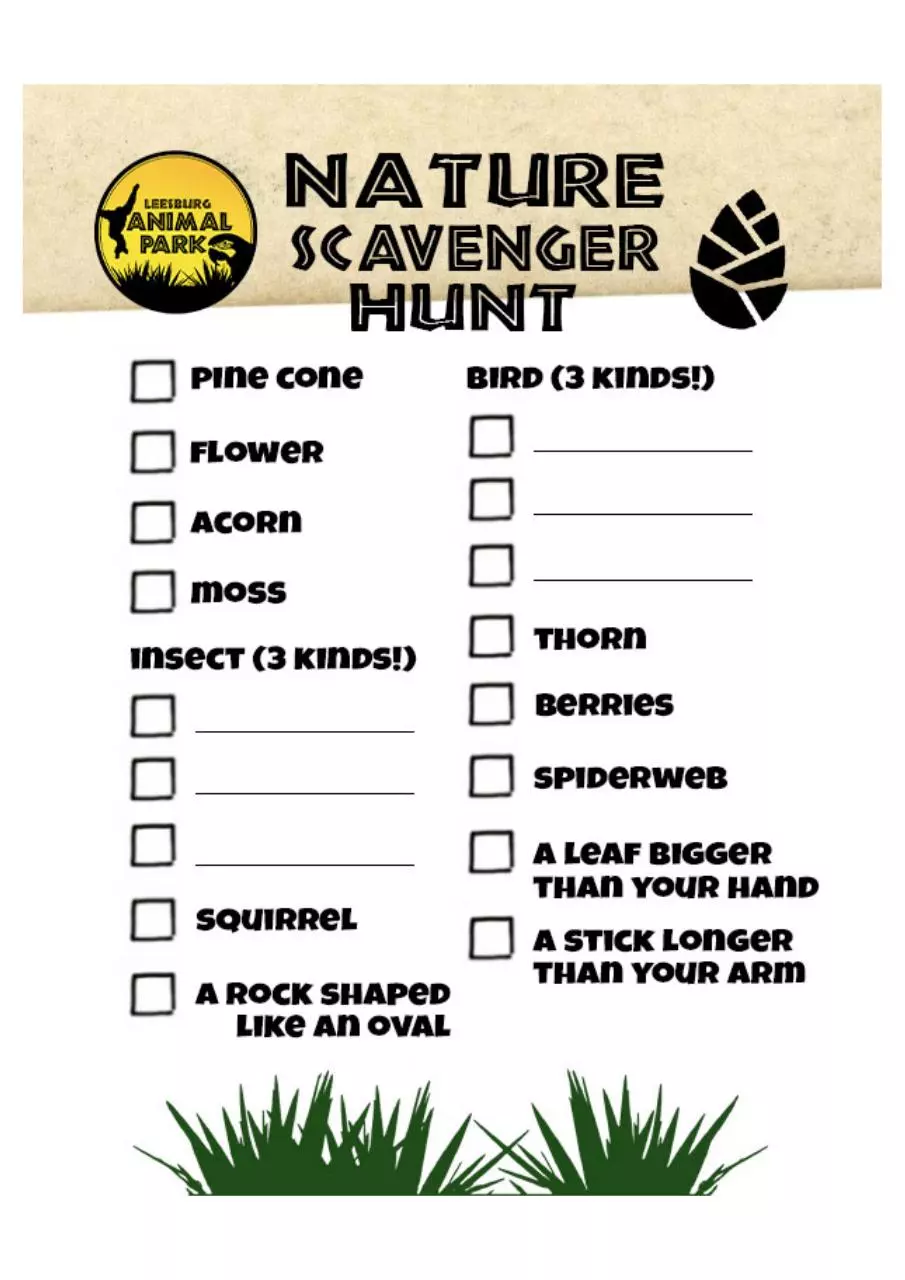 Page 1 of 1, LAP scavenger hunt