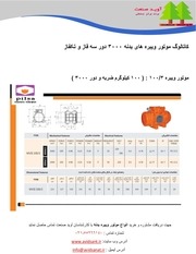 Page 1, catalog of electric vibrator 3000 rpm