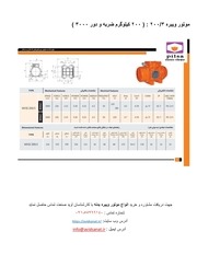 Page 2, catalog of electric vibrator 3000 rpm