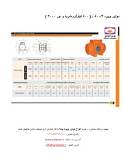 Page 4, catalog of electric vibrator 3000 rpm