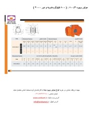Page 5, catalog of electric vibrator 3000 rpm