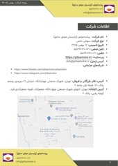Page 3, PilsaMotor Resume2