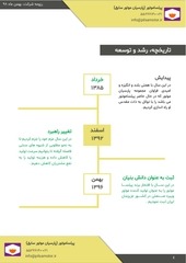 Page 5, PilsaMotor Resume2