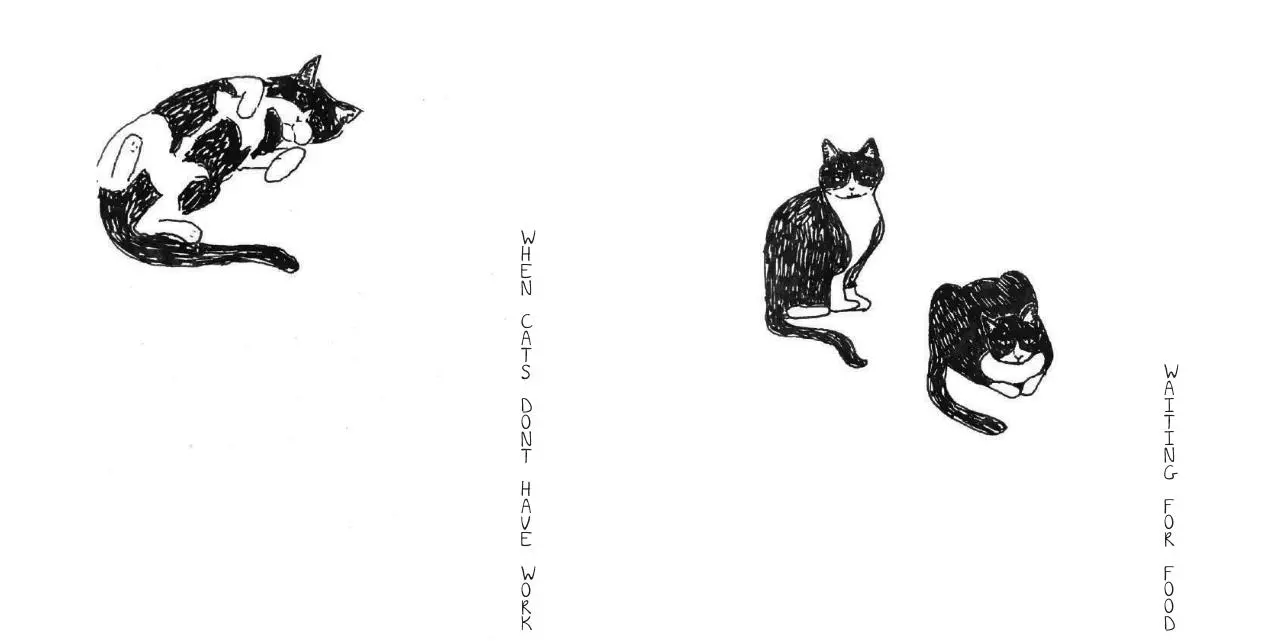 Page 2 of 51, W Y001 MIAUW EleonoreDevolder