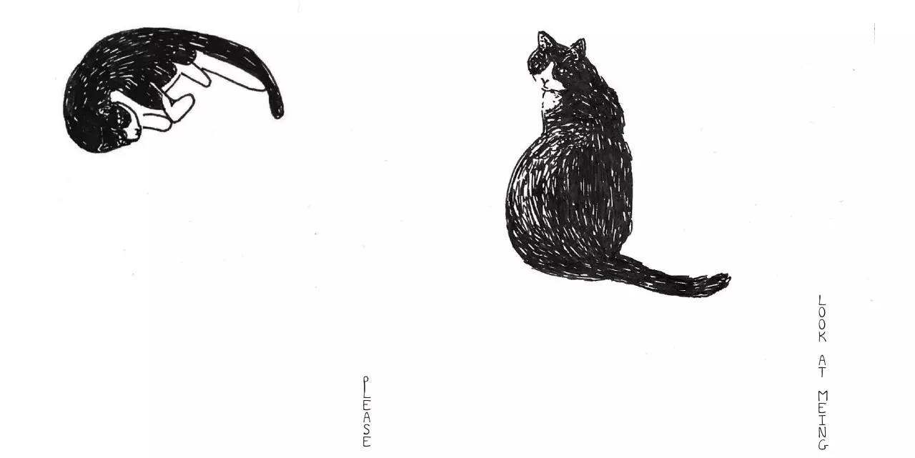 Page 3 of 51, W Y001 MIAUW EleonoreDevolder