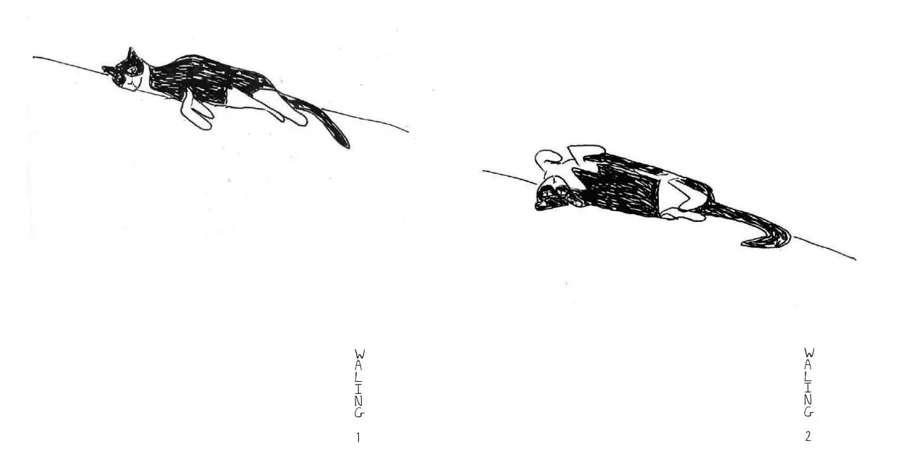 Page 4 of 51, W Y001 MIAUW EleonoreDevolder