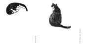 Page 3, W Y001 MIAUW EleonoreDevolder