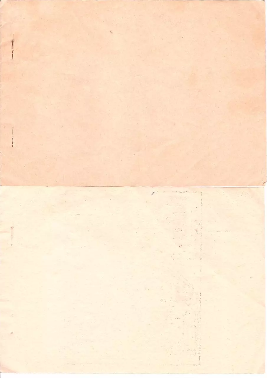 Page 2 of 10, ALTAIR202