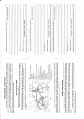Page 2, Velosiped ARDIS