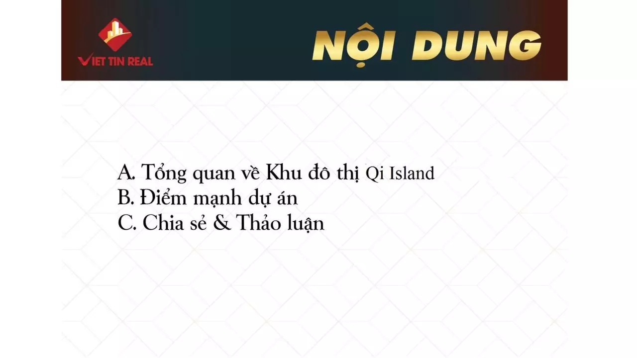 Page 3 of 29, TRAINING SALES Qi ISLAND Viettinreal
