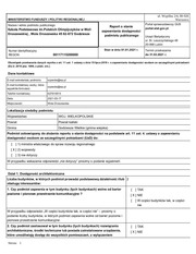 Page 1, deklaracja dostępności SP