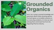 Page 1, Grounded Organics
