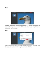 Page 3, Convert Image to PDF