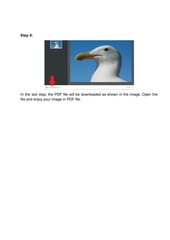 Page 4, Convert Image to PDF