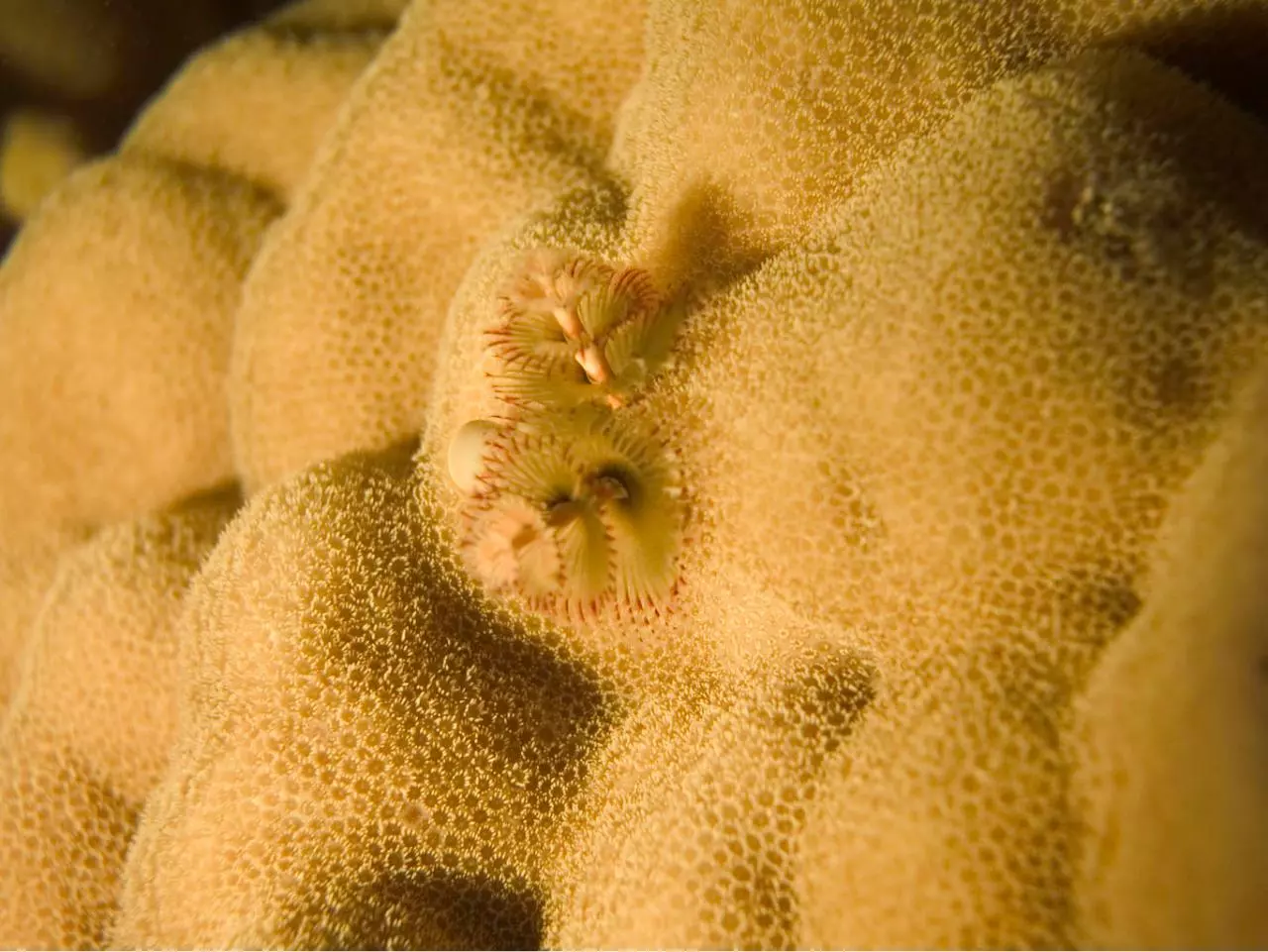 Page 3 of 9, Binder4
