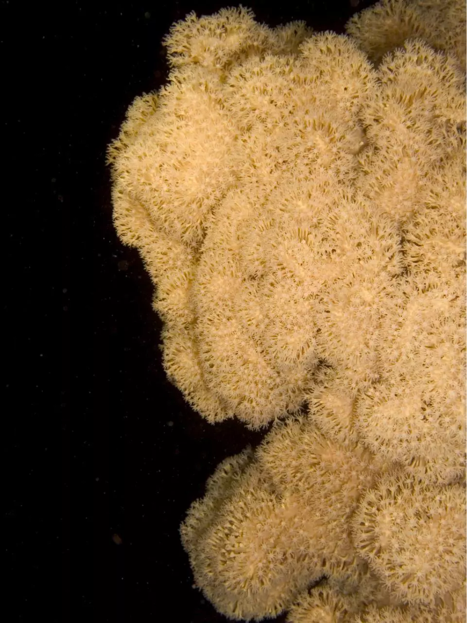 Page 1 of 1, P5020106
