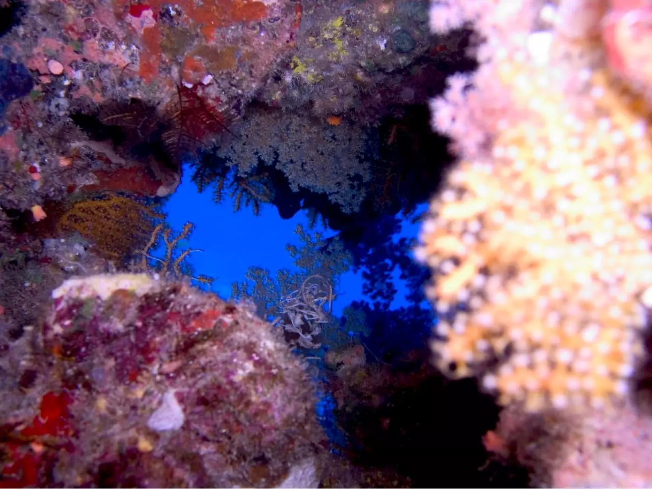 Page 1 of 1, P5030158