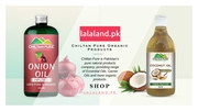 Chiltan pure pdf
