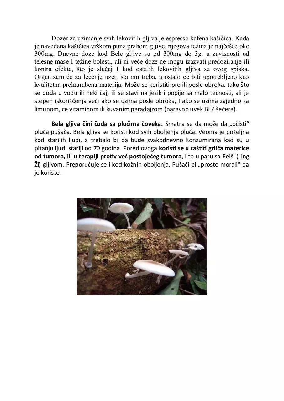 Page 2 of 2, BELA GLJIVA