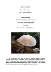 Page 1, BELA GLJIVA