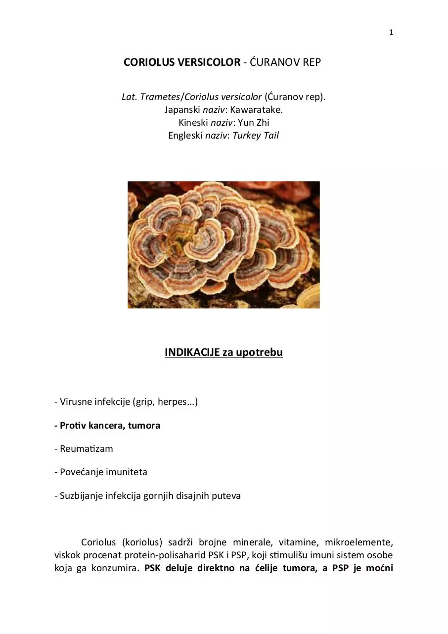 Page 1 of 3, coriolus